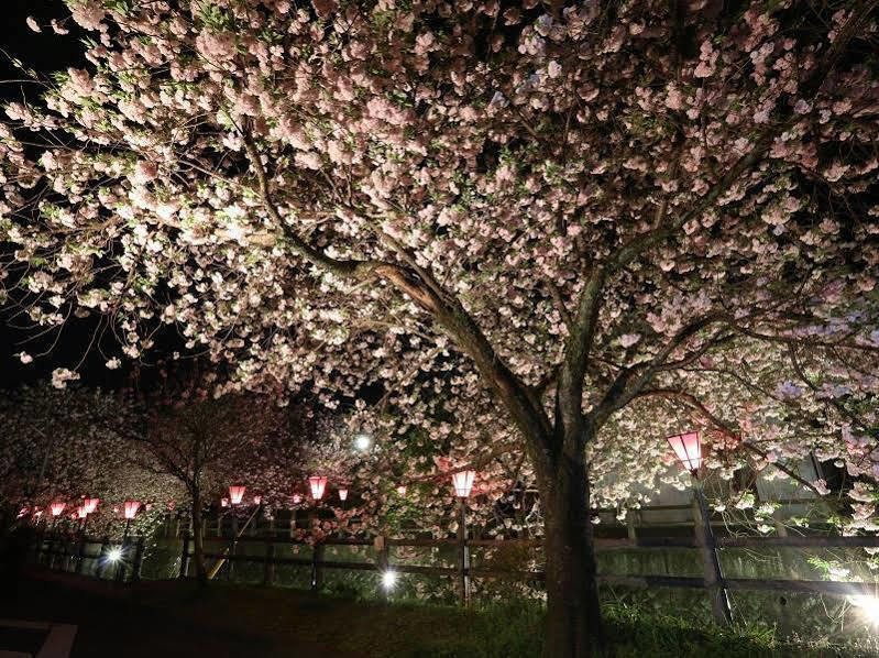 Tabi No Yado Satsuki Otel Hita Dış mekan fotoğraf